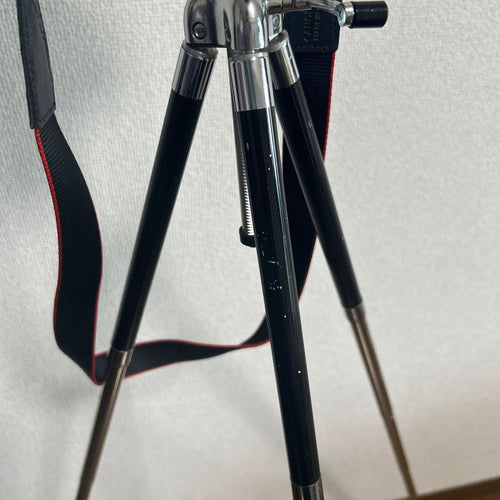 Canon Digital Slrs