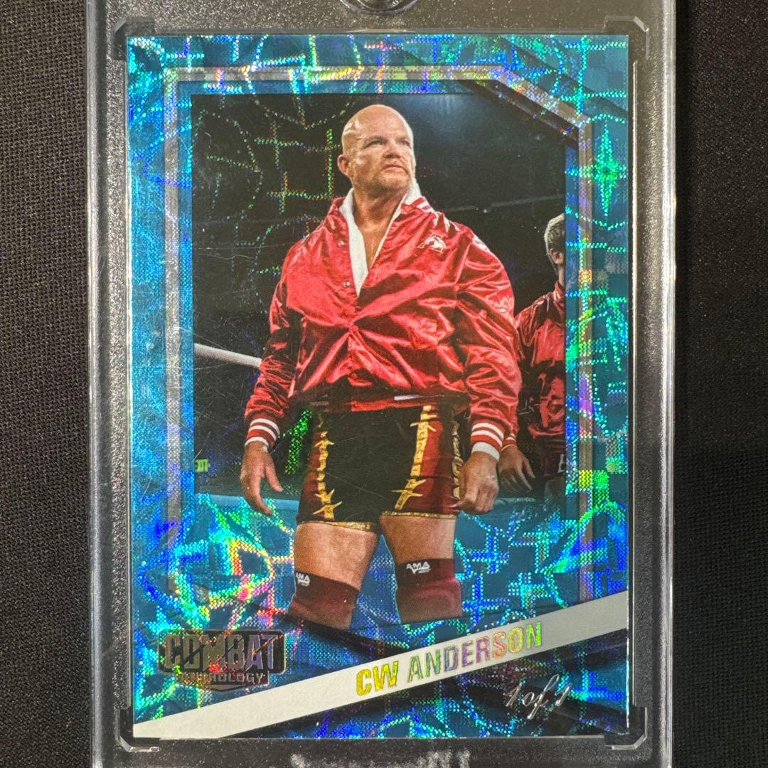 Wwe Cw Anderson 1Of1