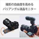 Mirrorless Interchangeable Lips 7 Iv [Ilce-7M4K] Sony