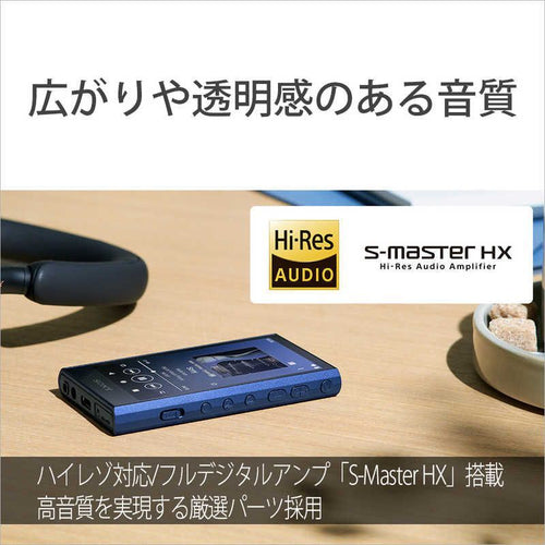 Sony Others Walkman A [32Gb/2023 Nw-A306 Lc