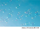 Others 49S Pro1D R- 8X(W)