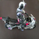 Premium Bandai Kamen Rider