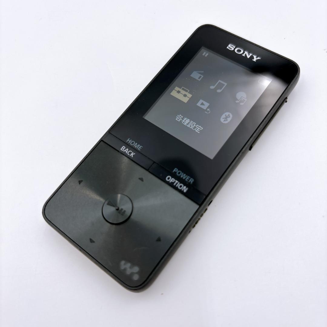 Sony Digital Audio Players Walkman Nw-S313K 4Gb