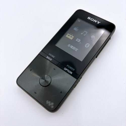Sony Digital Audio Players Walkman Nw-S313K 4Gb