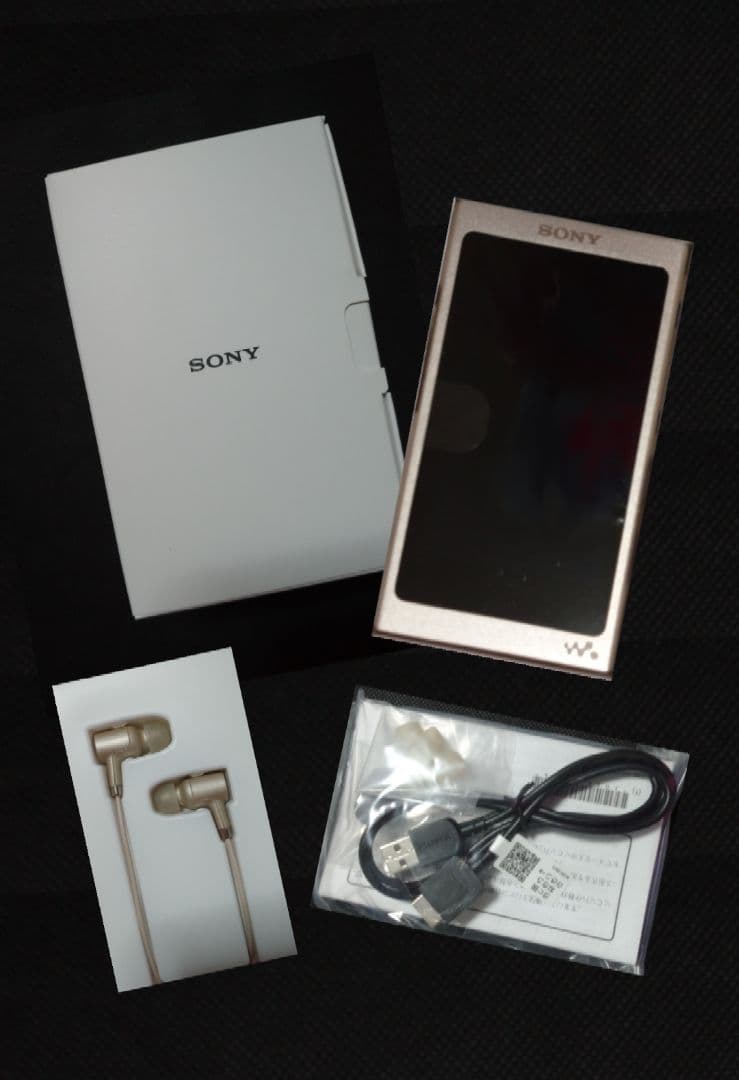 Sony Digital Audio Player