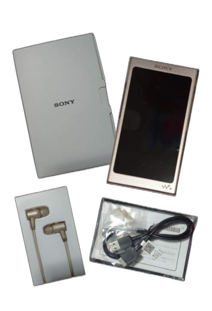 Sony Digital Audio Player