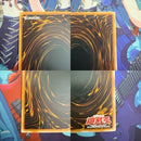 Yu -Gi -Oh! Ocg Duel Monsters 3