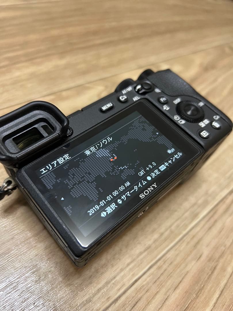 Sony Mirrorless Interchangeable Lens Cameras 6600