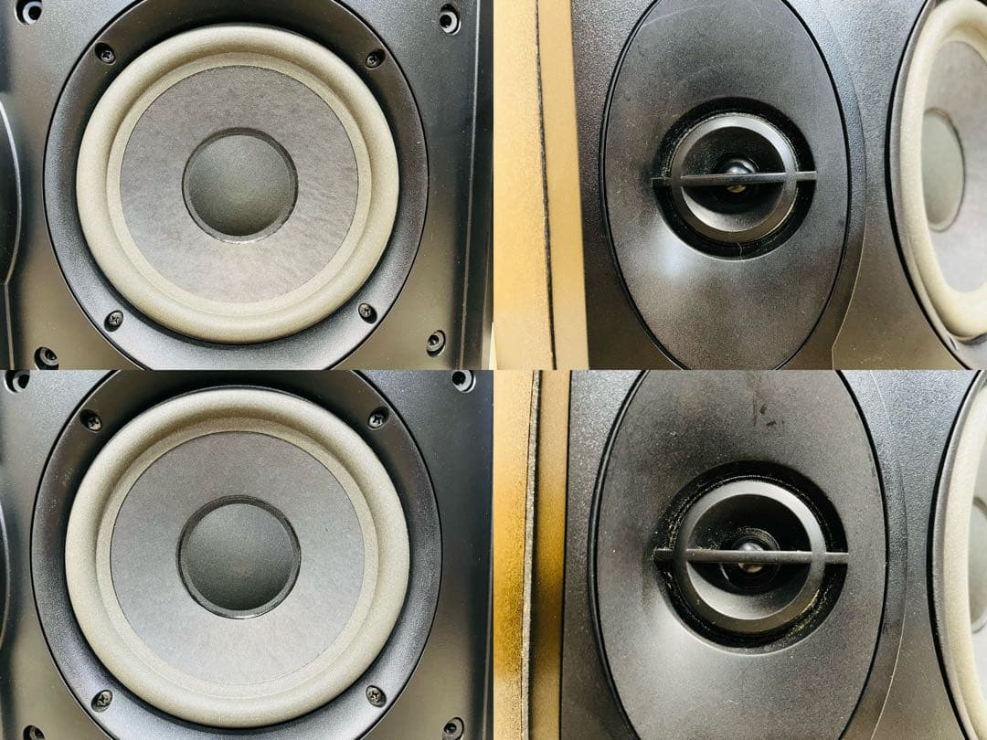 Bose Speakers 301V