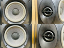 Bose Speakers 301V