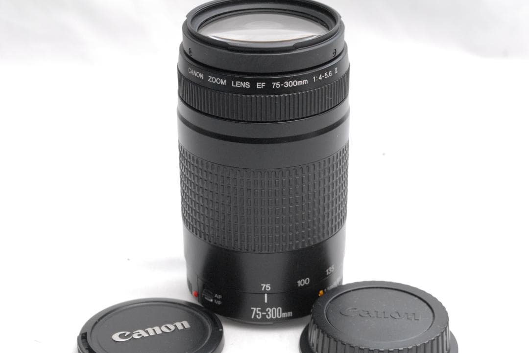 Canon Zoom Lenses Lens Ef 75-300Mm 1:4-5.6
