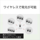 Sony Strobe Hvl-F60Rm2