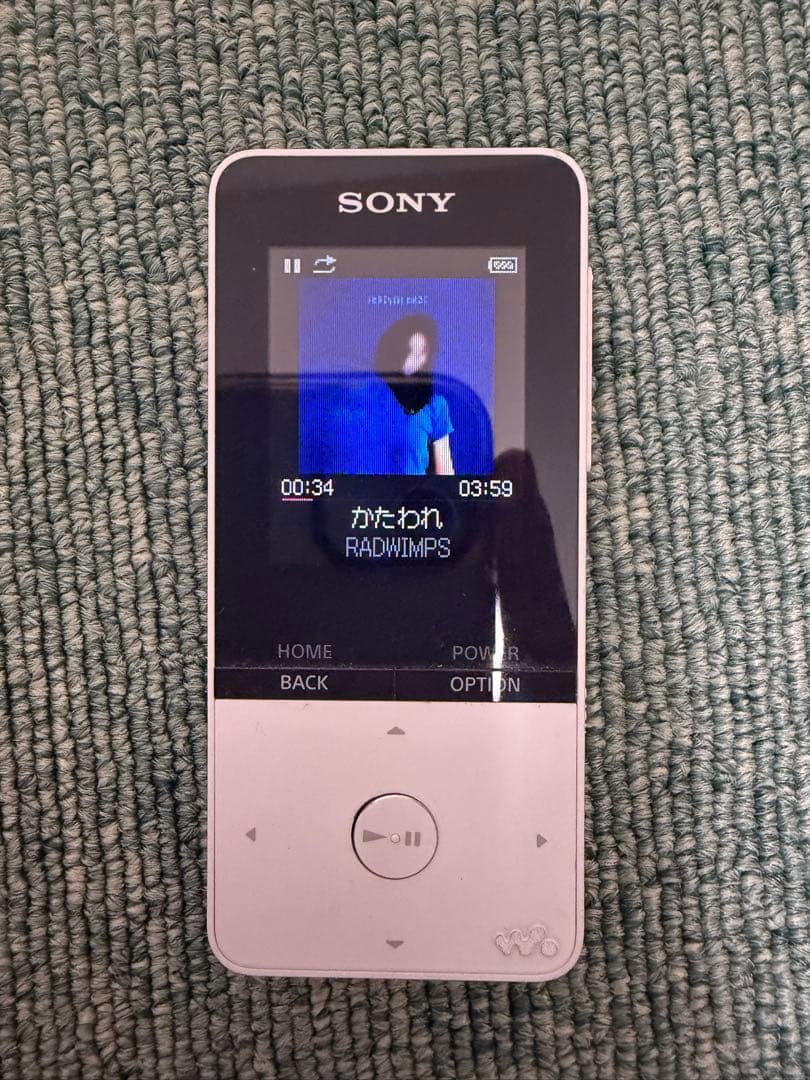 Sony Digital Audio Players Walkman Nw-S315