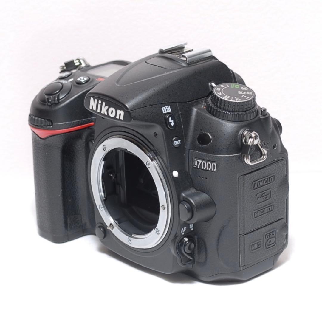 Nikon Digital Slrs D7000