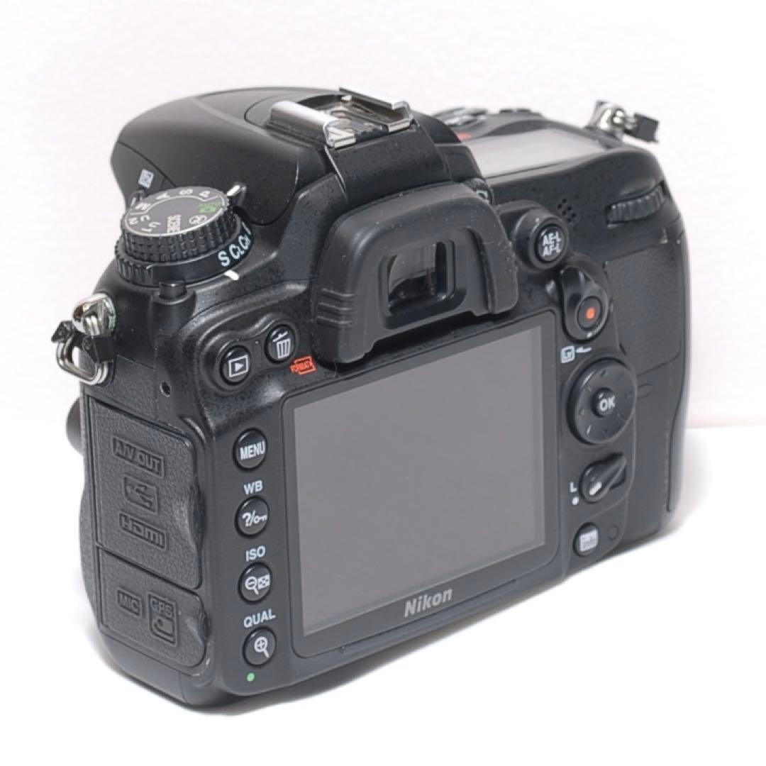 Nikon Digital Slrs D7000