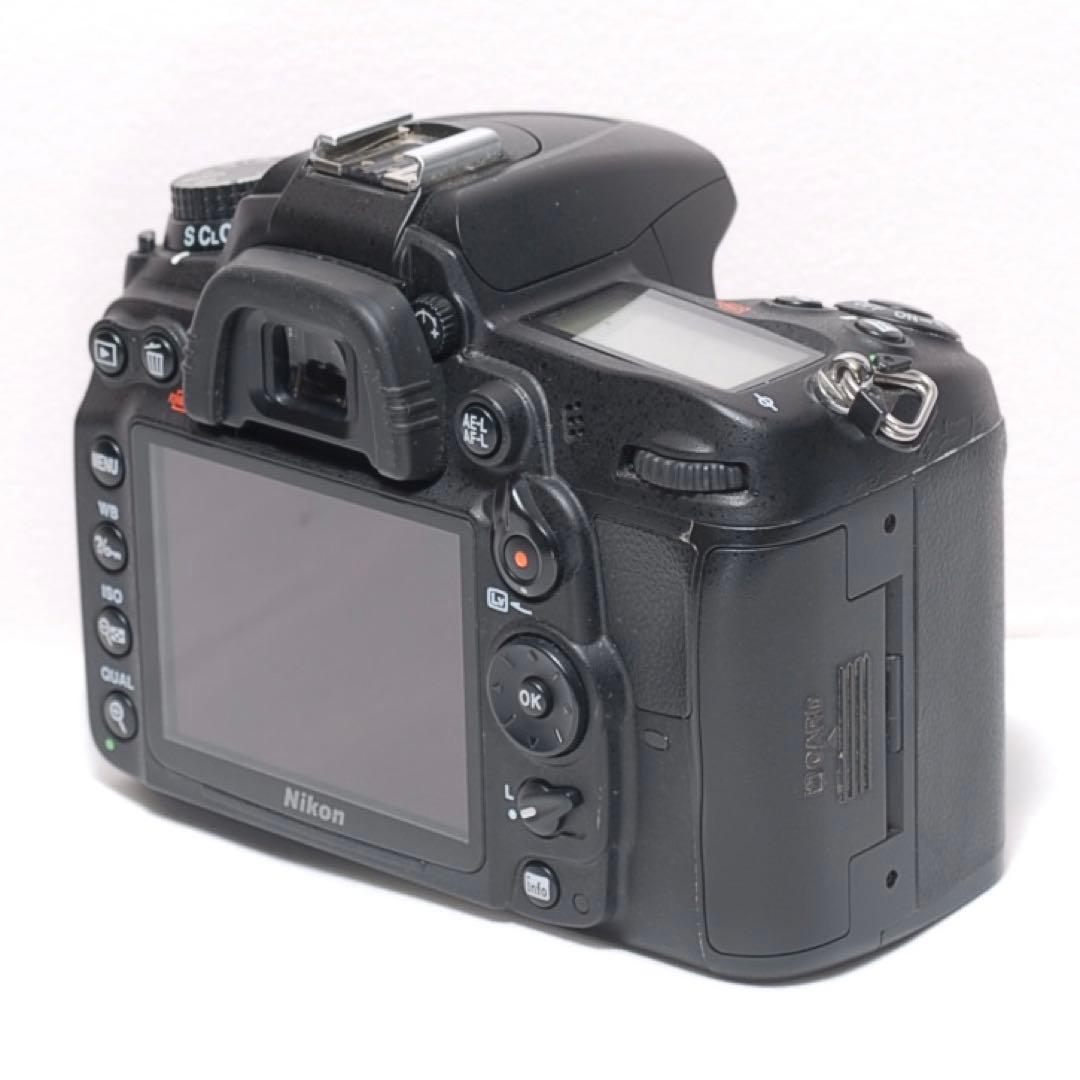 Nikon Digital Slrs D7000