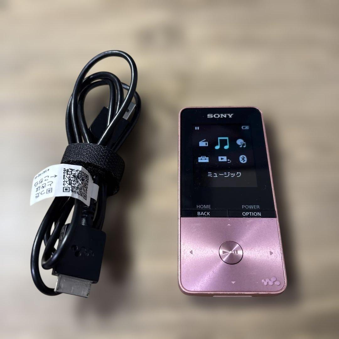 Sony Digital Audio Player Nw-S313