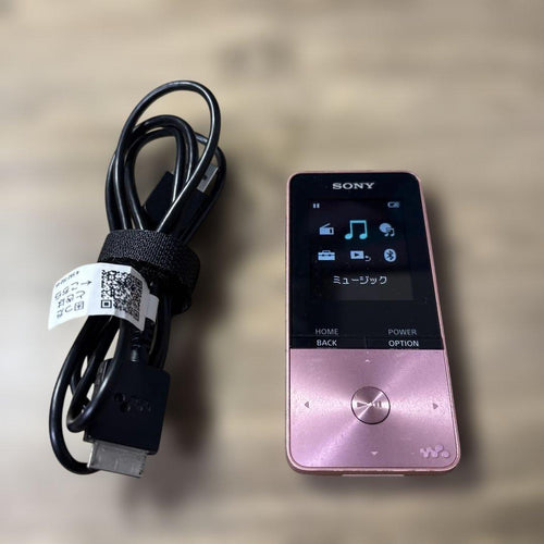 Sony Digital Audio Player Nw-S313