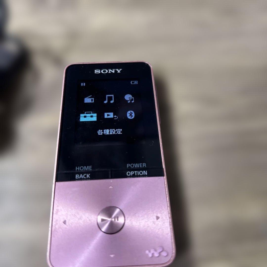 Sony Digital Audio Player Nw-S313