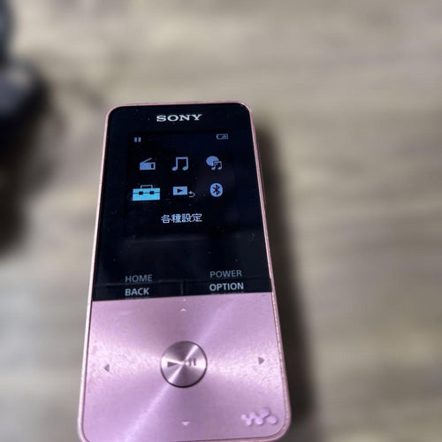 Sony Digital Audio Player Nw-S313