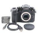 Panasonic Mirrorless Interchangeable Lips 2569 Lumix Dc-G99M2