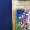 Yu-Gi-Oh! Ocg Duel Monsters (Japanese)