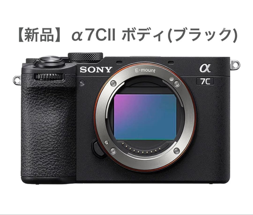 Sony Mirrorless Interchangeable Lips 7C Ii