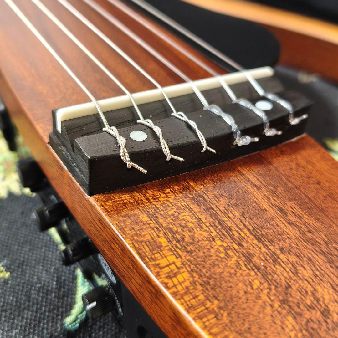 Yamaha Other Slg200N Nt