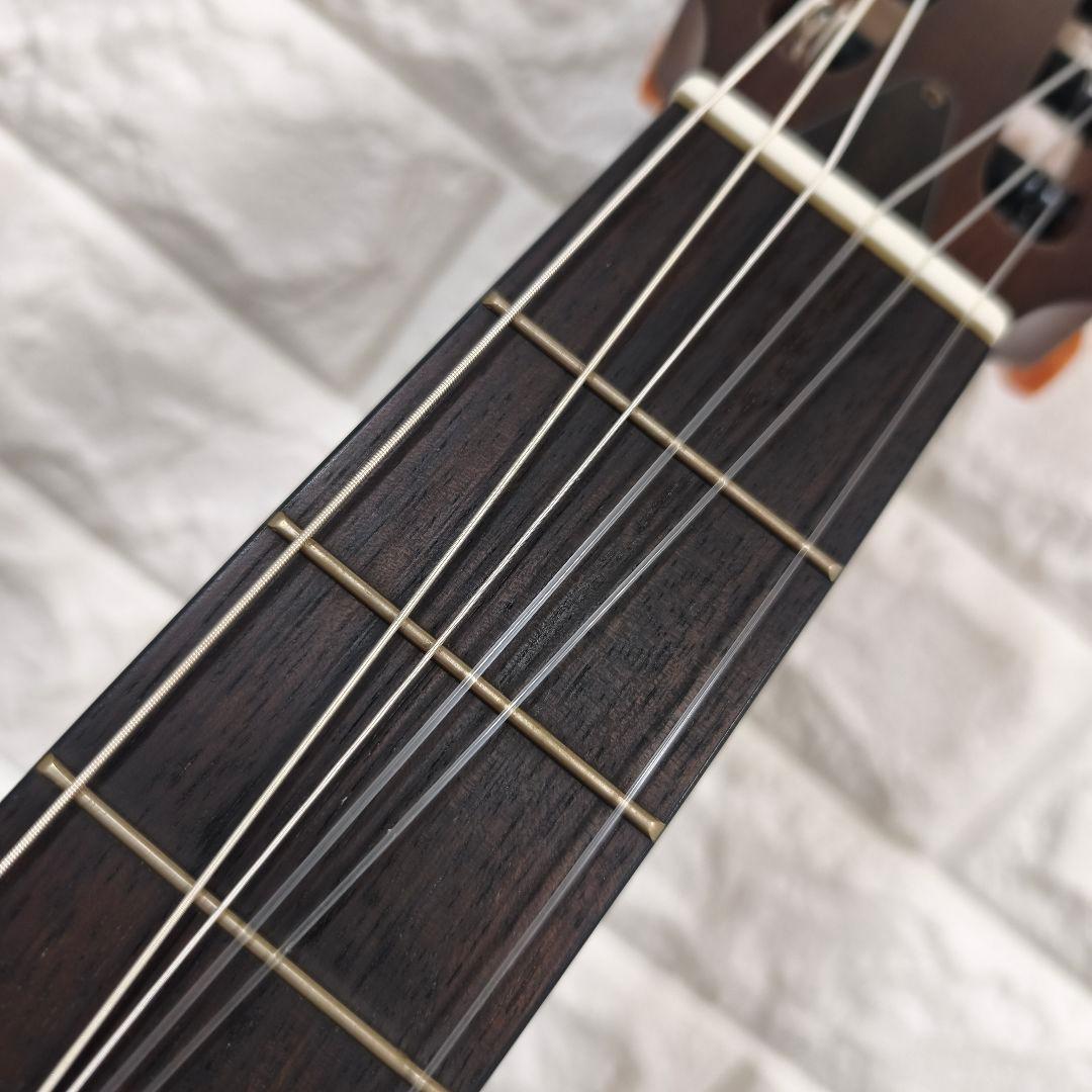 Yamaha Other Slg200N Nt