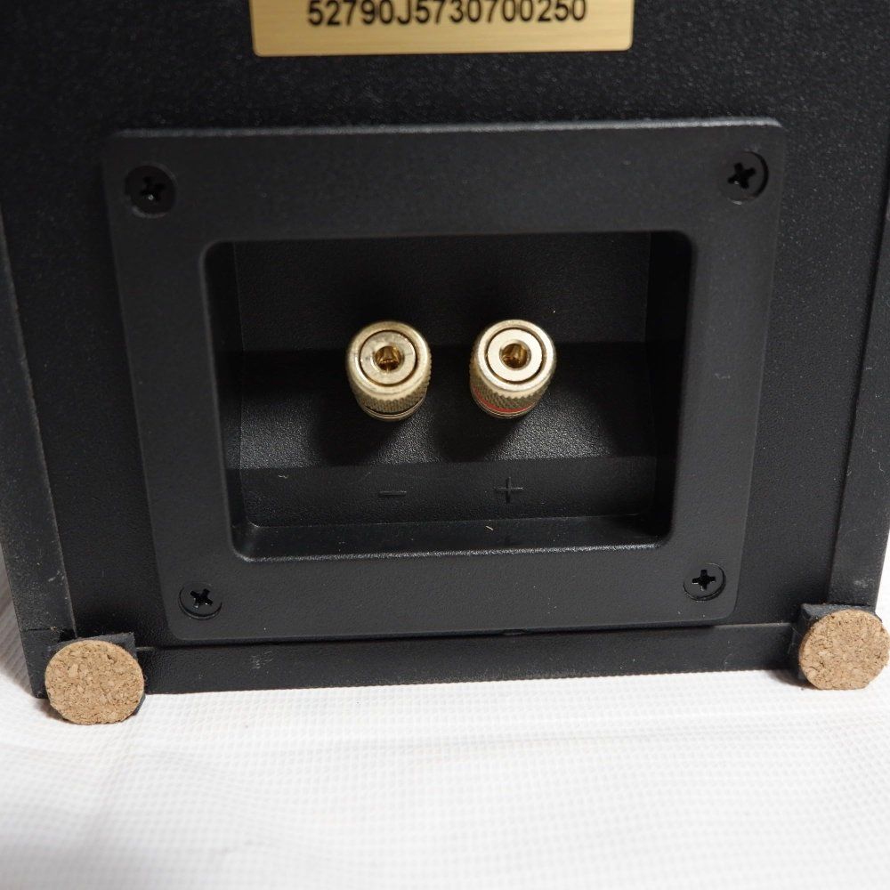 Subwoofer Onkyo (1 D-309Xm(B)