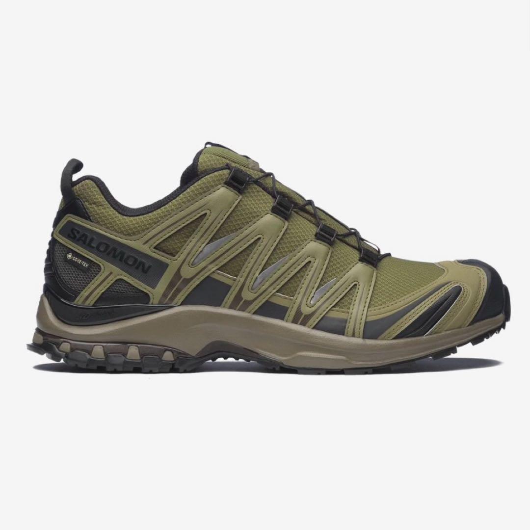 Salomon Baskets Xa Pro 3D Gore-Tex