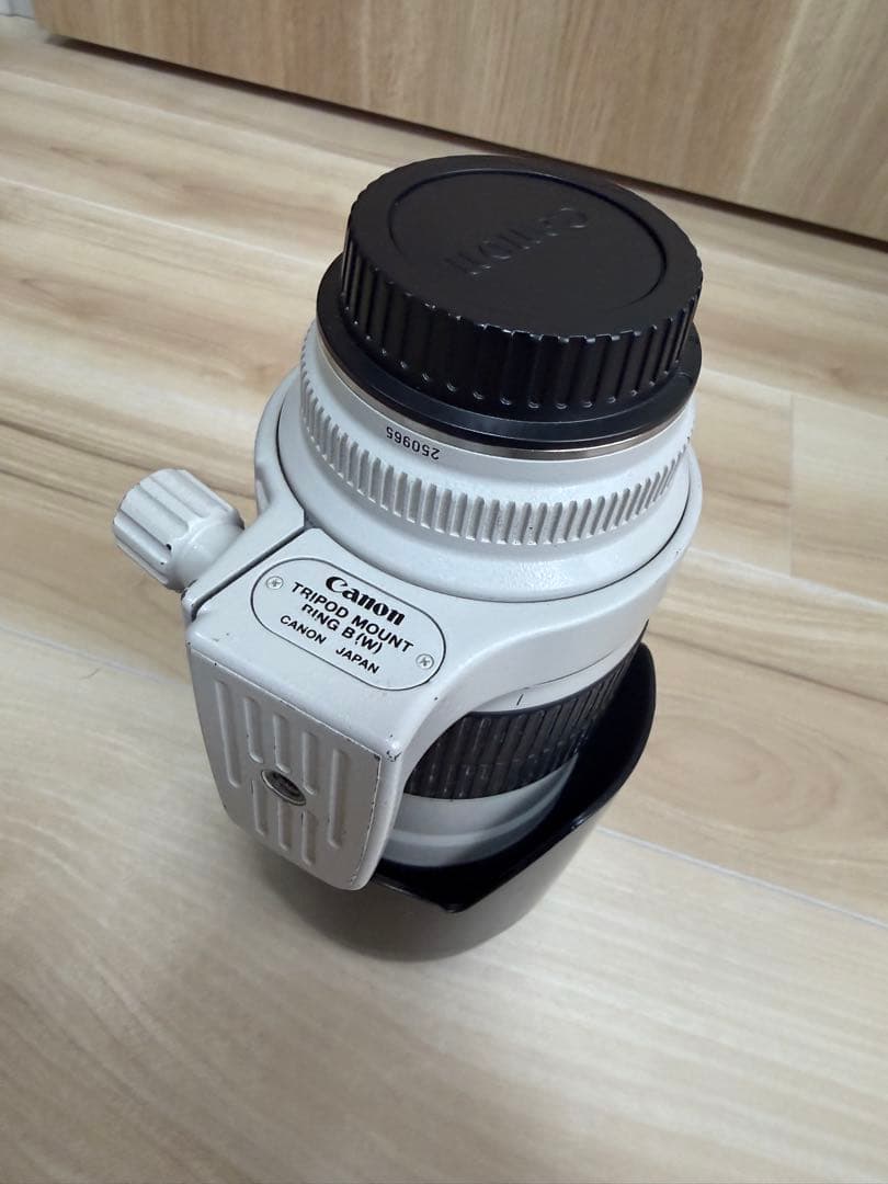 Canon Lens (Zoom) Ef 70-200Mm F/2.8L Usm