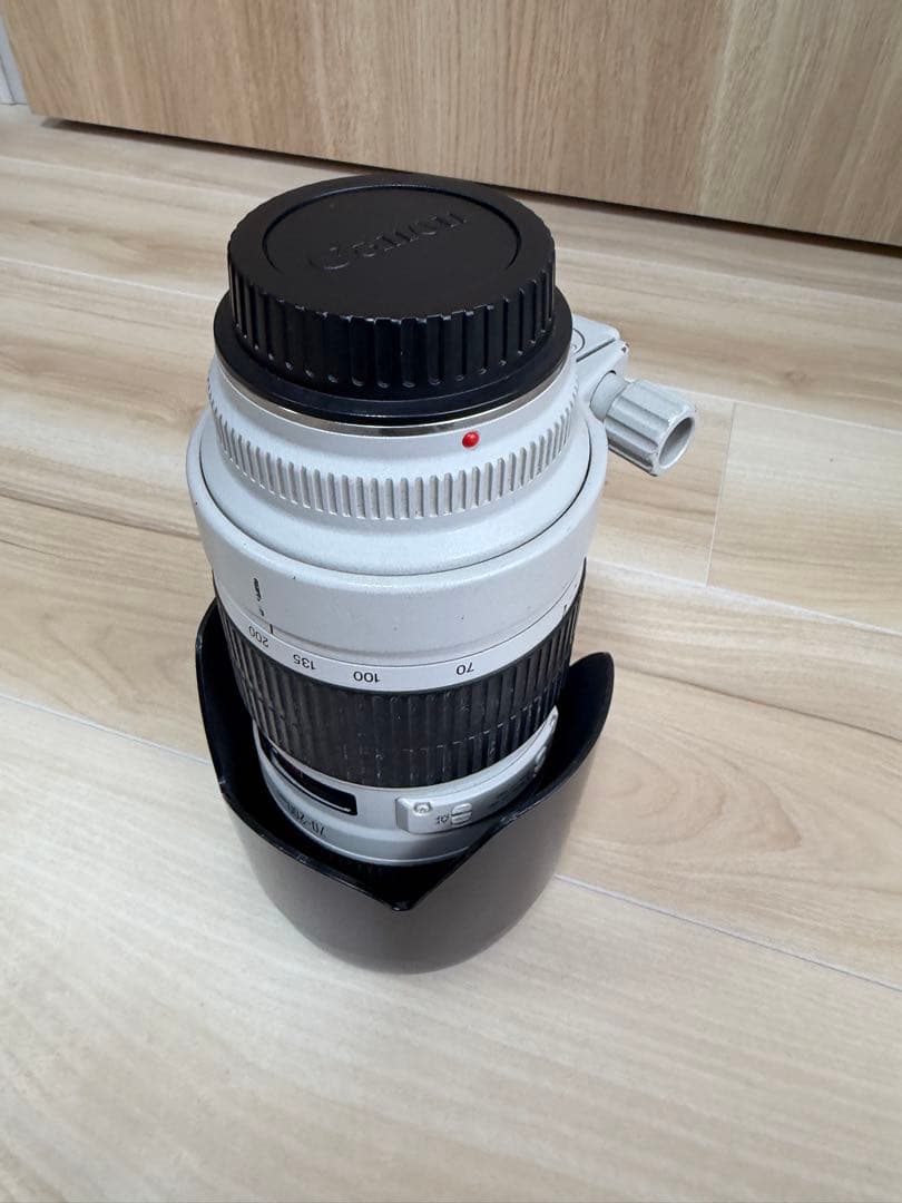 Canon Lens (Zoom) Ef 70-200Mm F/2.8L Usm