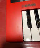 Yamaha Electronic Organ Reface Yc