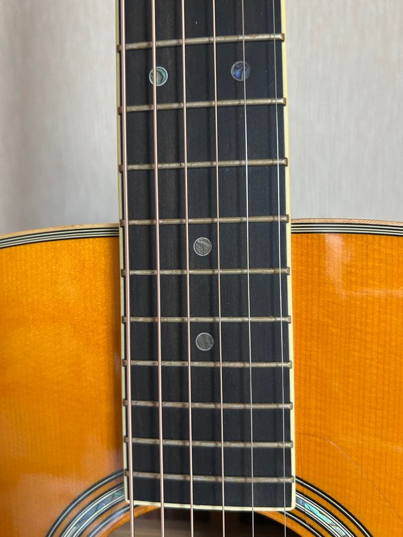 Yamaha Acoustic Guitars Ls-Ta Transacoustic