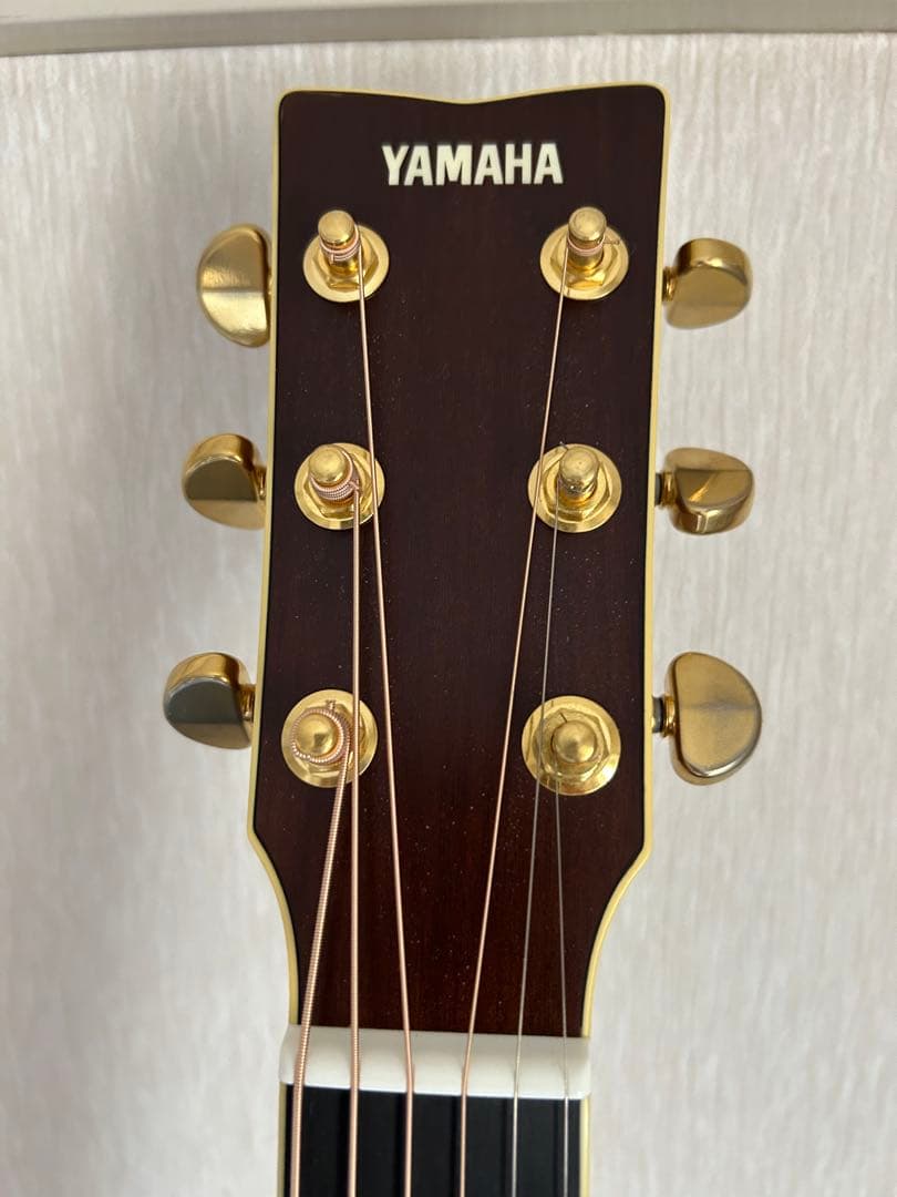 Yamaha Acoustic Guitars Ls-Ta Transacoustic
