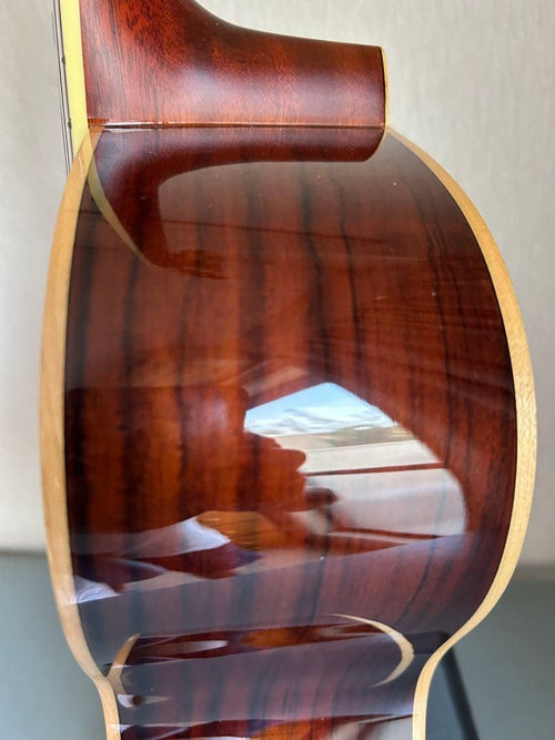 Yamaha Acoustic Guitars Ls-Ta Transacoustic