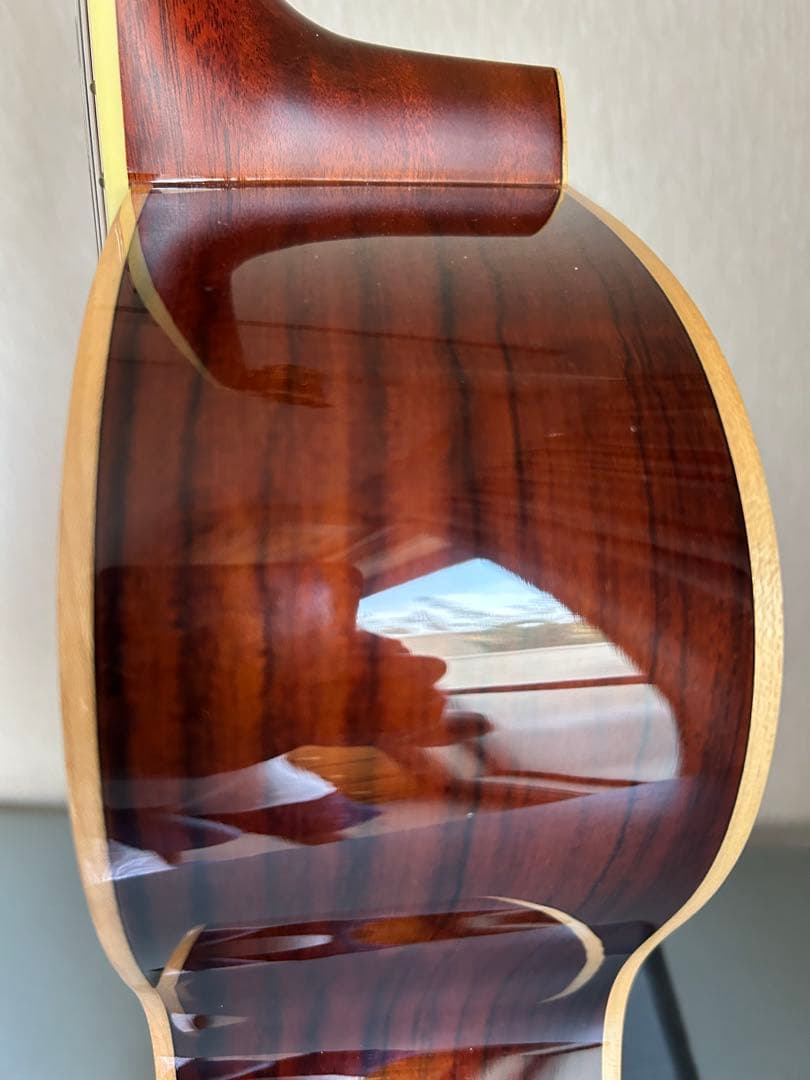 Yamaha Acoustic Guitars Ls-Ta Transacoustic