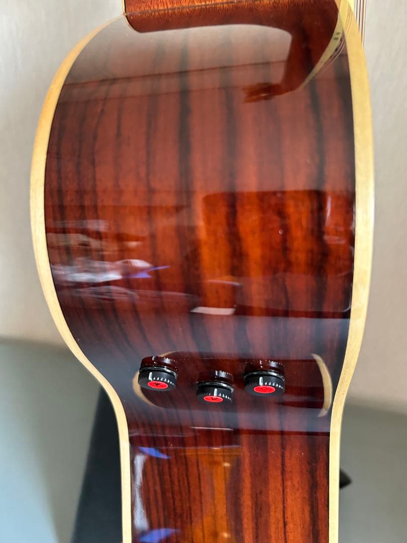 Yamaha Acoustic Guitars Ls-Ta Transacoustic