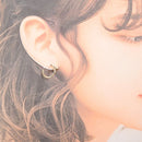 Cartier Earrings (For Both Ears) B8301235