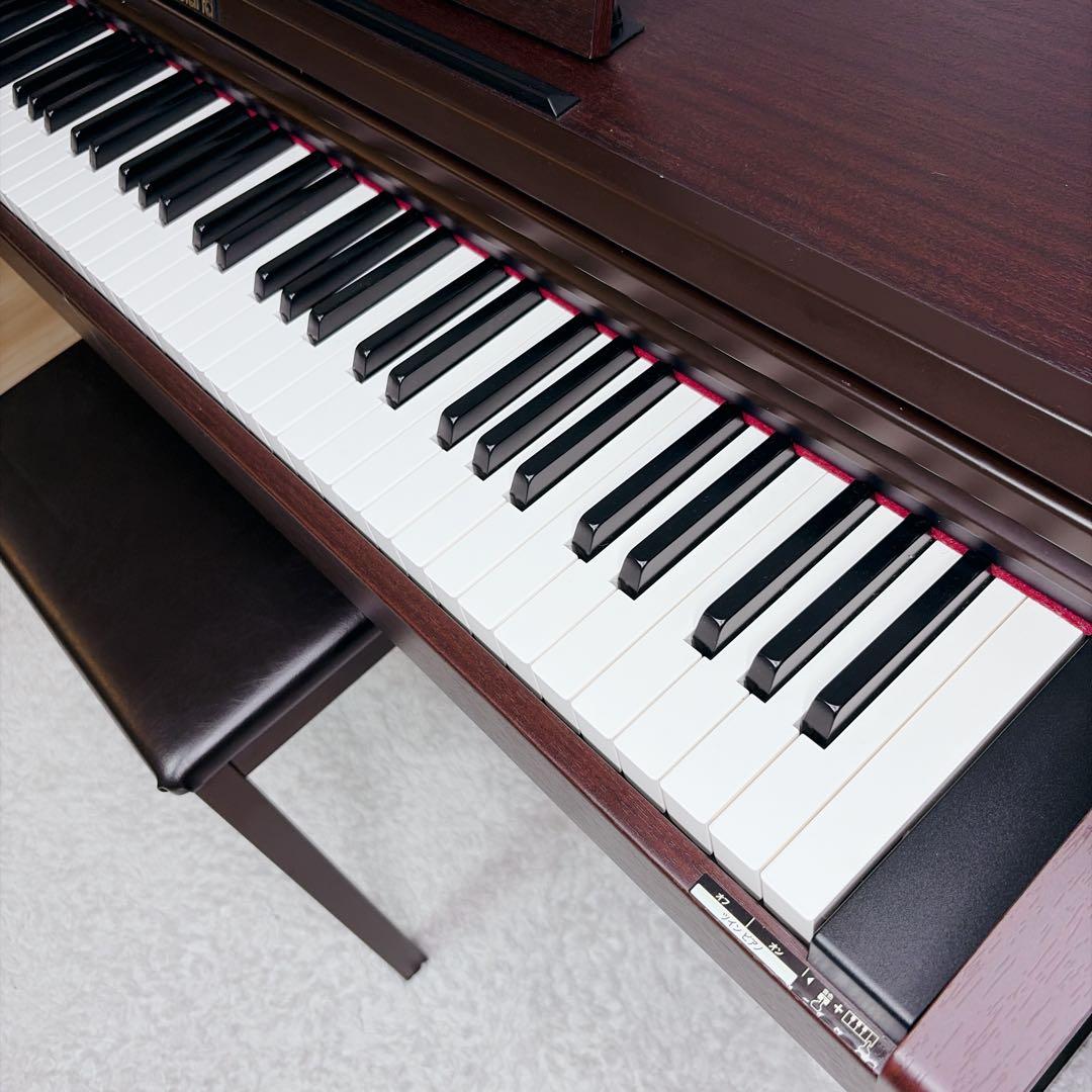 Roland Keyboards Digital Pianos Rp-101-Mh 88 Ok