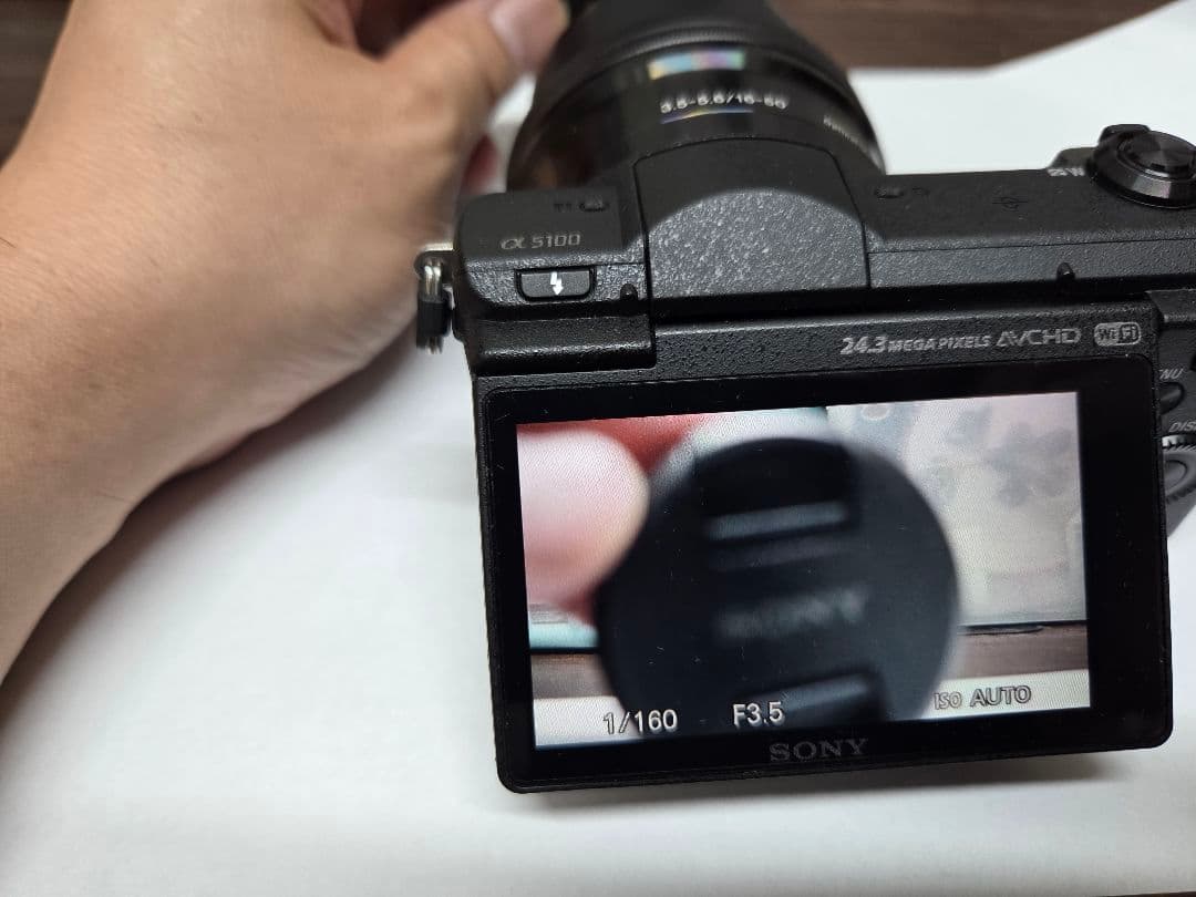 Sony Mirrorless Interchangeable Lens Cameras 18689 5100 4