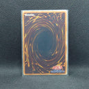 Yu-Gi-Oh! Ocg Duel Monsters (Japanese)