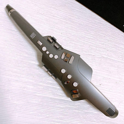 Roland Other Ae-10
