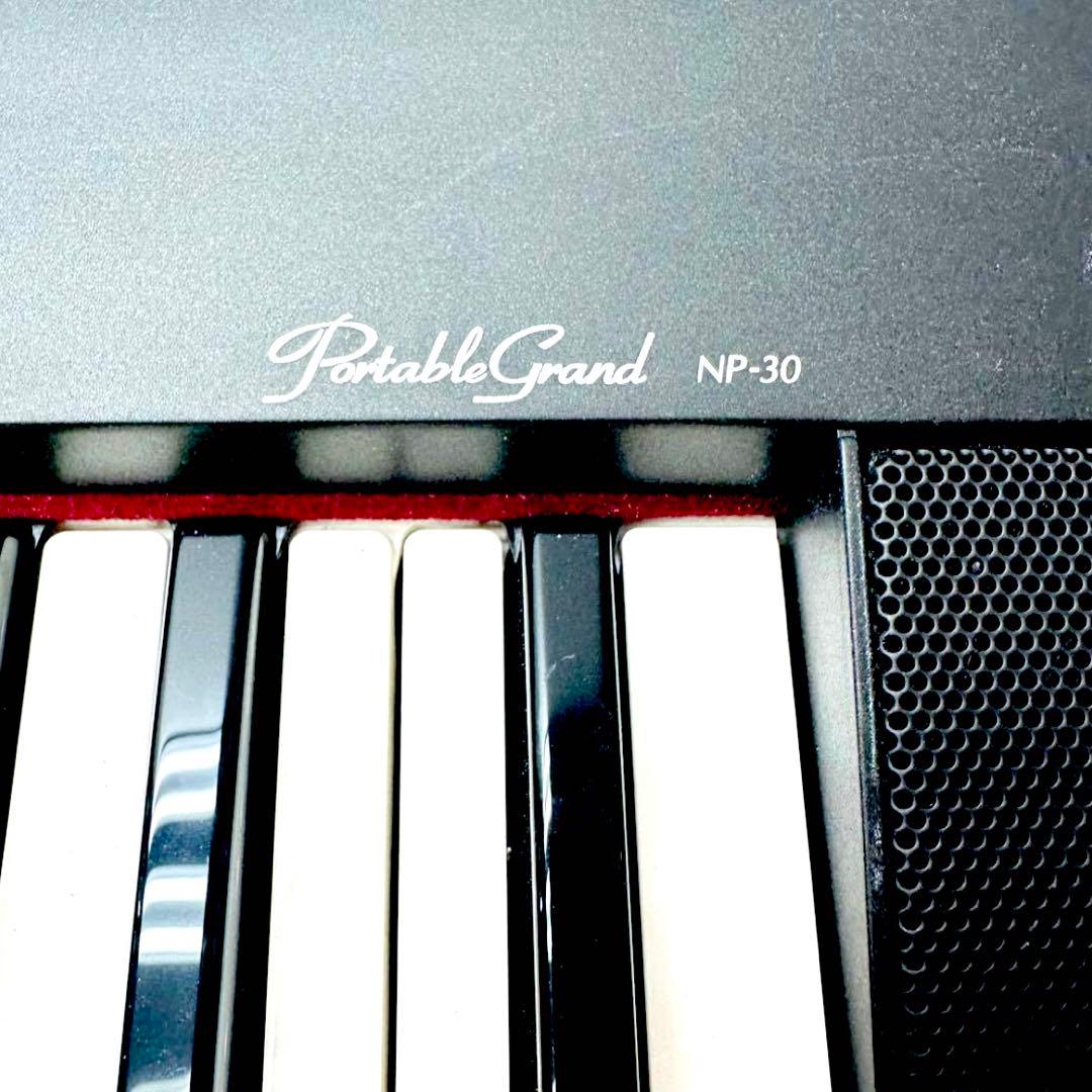 Yamaha Keyboards Digital Pianos Np-30