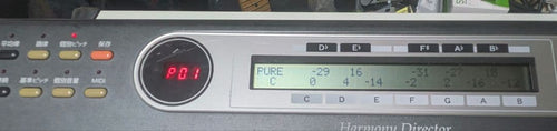 Other Yamaha D-100
