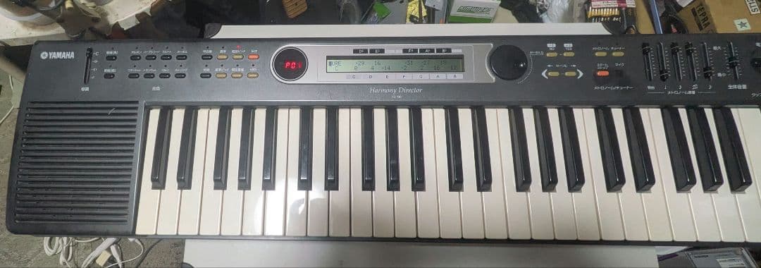 Other Yamaha D-100