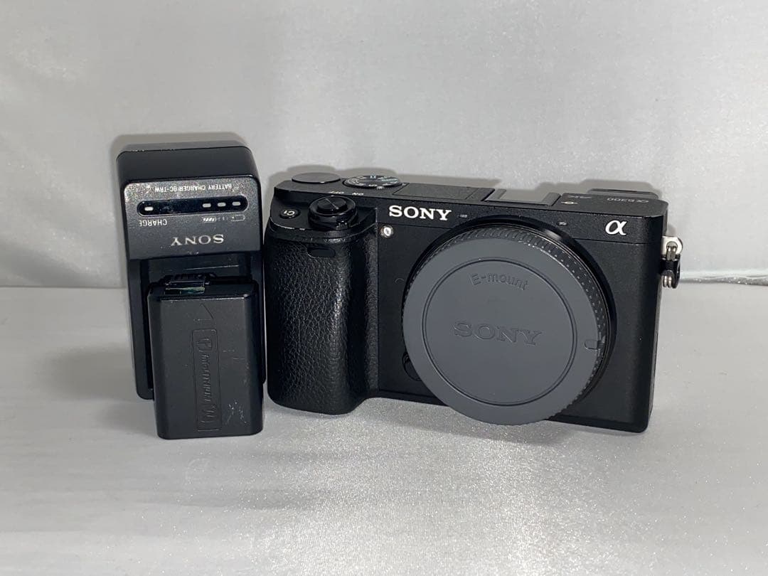 Sony Mirrorless Interchangeable Lens Cameras 6300 Ilce-6300