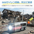 Radio And Boombox Greeshow Fm/Am/Sw 3Way 2000Mah Sos Led Fd243C7D