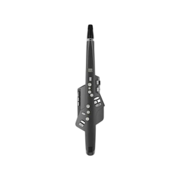 Roland Others Aerophone Ae-10G Graphite Black Ae10